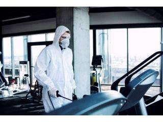 Save Your Home Before Mold Spreads