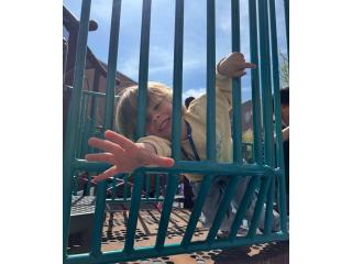 Smart Minds Grow with Preschool Education Programs