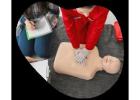 Honolulu Basic Life Support Training for Providers