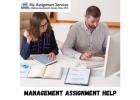 Expert Academic Support for College Management Students