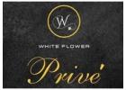 Prive by White Flower – Best Luxury Resort in North Goa for Premium Stays