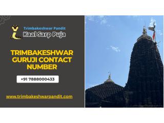 Pitru Dosha Pooja Online Booking | Trimbakeshwar Guruji Contact Number