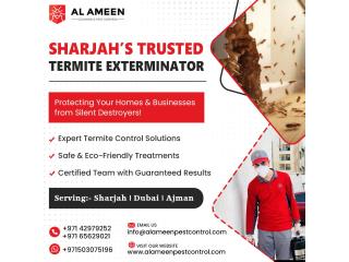 Reliable Termite Exterminator Service for Long-Lasting Results