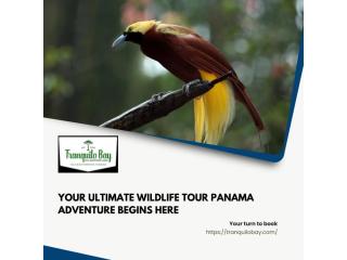 Your Ultimate Wildlife Tour Panama Adventure Begins Here
