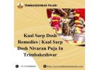 Kaal Sarp Dosh Remedies | Kaal Sarp Dosh Nivaran Puja In Trimbakeshwar