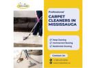 Trusted Carpet Cleaners in Mississauga by Insta Clean