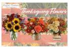 Thanksgiving Blooms That Bring Warmth to Every El Paso Home