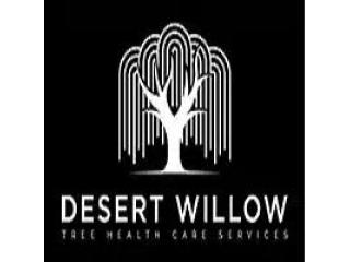 Desert Willow: Tree Health Care Services