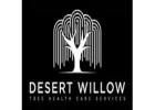 Desert Willow: Tree Health Care Services