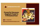 Powerful Narayan Nagbali Pooja In Trimbakeshwar