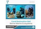 Coral Restoration Bali – Revive Marine Ecosystems