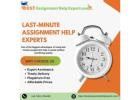 Ace Your Deadlines with Expert Last Minute Assignment Help in Australia
