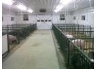 Safeguard Dairy Facilities from Moisture Damage With Vinyl Panels 