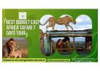 Exclusive 7-Day East Africa Budget Safari Deal