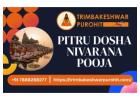 Perform Kalsarp Pooja In Trimbakeshwar And Pitru Dosha Nivarana Pooja