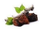 Nấm Chaga Nga Chính Hãng | Tdfliexpress.com