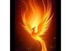 "Rise of the Career Phoenix: Rebuild, Reinvent, Rise Higher."