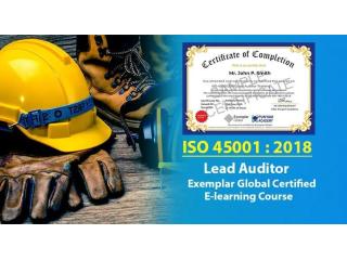 ISO 45001 Lead Auditor Training by Punyam Academy: Master OHS Auditing