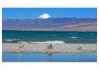 Spiritual & Cultural Importance of Mount Kailash and Lake Manasarovar