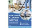   The Importance of Professional Upholstery Cleaning for a Healthy Home !