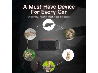 Best Rat Repellent for Car | Protect Engine & Car Wires from Rodents