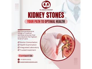 Kidney Stone Treatment in Mumbai at Affordable Cost