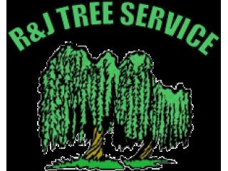 Remove Tree Stumps Safely and Easily with R & J Tree Service Inc.