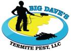 Dependable and Fast Pest Control Services in Manvel, TX