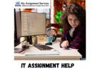 IT Assignment Help Professional Support for Students