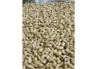 Leading Cashew Manufacturer in India for Premium Quality Processing