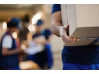 professional movers in Mississauga