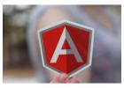 Expert Angular App and Web Development Services