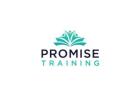Online Training Solution for Professionals - Promise Training USA & Nigeria