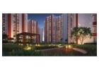 2 BHK Flats in DTC Capital City