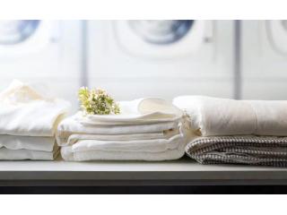 Keep Towels Fresh with Our Professional Laundry Service