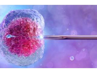 Best IVF Center in Kolkata – Uma Medical’s Trusted Path to Parenthood