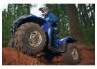 Grizzly 450: The ATV That Beats the Big Engines in Desert Tours