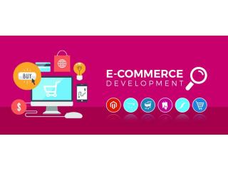 Professional Ecommerce Website Development Company with InnovatiQ Systems