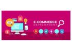 Professional Ecommerce Website Development Company with InnovatiQ Systems