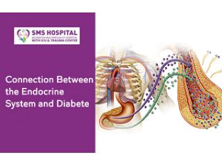Looking for the Endocrine System and Diabetes