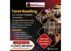 Tarot Reading in New York