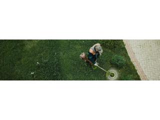 Professional Commercial Lawn Care Edmonton and Business Lawn Mowing Services by Land To Snow