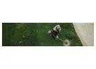 Professional Commercial Lawn Care Edmonton and Business Lawn Mowing Services by Land To Snow