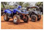 Why MXU 250 CC Is Dubai’s Most Underrated Desert ATV