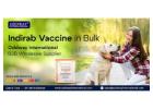 Indirab Vaccine for Reliable Rabies Protection - Oddway