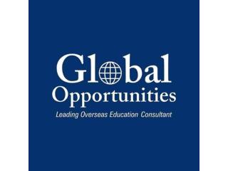 Ireland Study Consultant