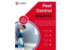 Top Pest Control & Reliable Ant Removal Services in Ajman