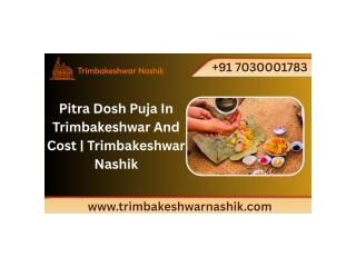 Pitra Dosh Puja In Trimbakeshwar And Cost | Trimbakeshwar Nashik