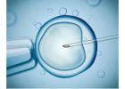 IVF Treatment in Kolkata – Advanced Fertility Care by Uma Medical