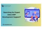 Searching for Expert Odoo ERP Development Support?